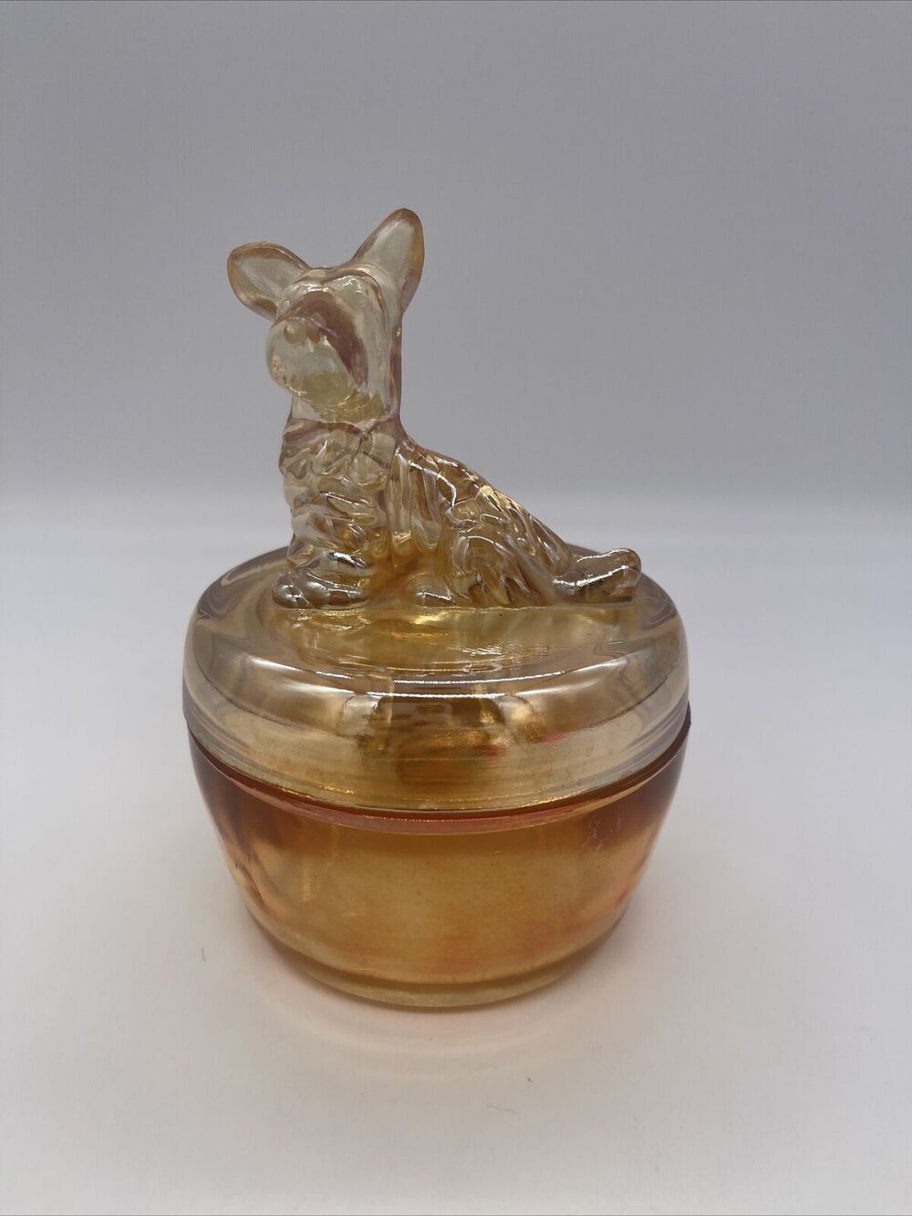 1940's Jeanette Glass Marigold Scottie Dog Lid Covered Candy Dish Powder Jar